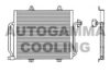 AUTOGAMMA 101791 Condenser, air conditioning